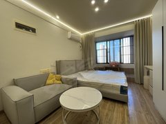 合肥新站瑶海公园武里山天街精装一室 可短租月付 楼下商业街 家天下生活广场出租房源真实图片