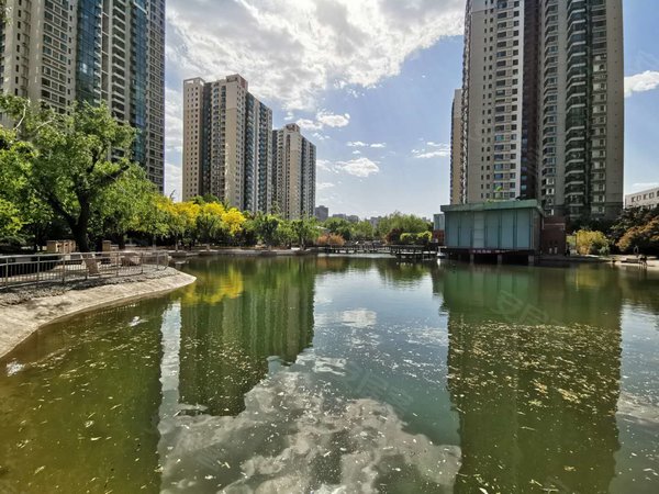 北京丰台科技园区怡海花园恒丰园正南 1室1厅  怡海花园恒丰园 小区
