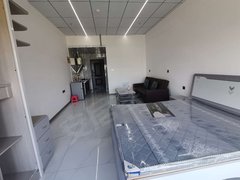 邓州邓州城区邓州市区东湖公馆公寓 湖景房 精装修 家具家电齐全 保养好 拎包入住出租房源真实图片