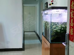 上海黄浦鲁班路卢湾教师公寓 3室1厅1卫出租房源真实图片