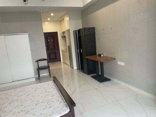 海宁海宁市区海洲城仕公寓皮革城地铁口 皮都公馆 精装1室 家电齐全 看房随时出租房源真实图片