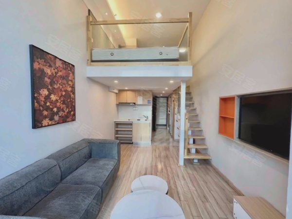 万科大都会 cbd龙湖天街 奥体中心 精装loft 家电齐全