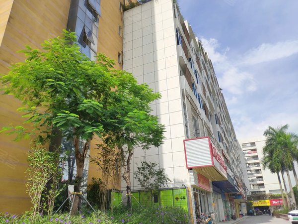 深圳坪山坪山盈富家园燕子岭 比亚迪 精装一房 拎包入住 保税区 荣耀