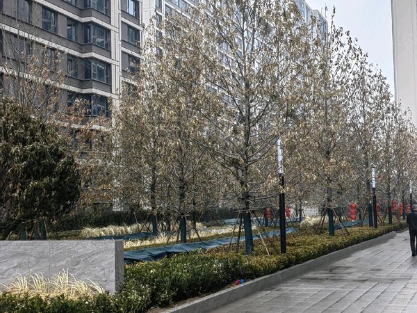 西安灞桥长乐坡融创宸阅和鸣融创宸阅和鸣 5室1厅2卫出租房源真实图片