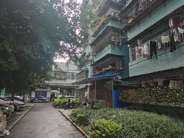 【多图】瑞士花园,大学东路租房,瑜伽老师退租| 楼中楼,地铁口,民用