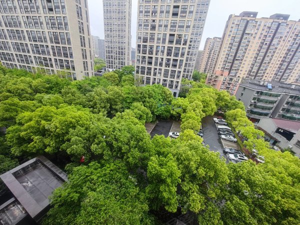 杭州临平临平海澜半岛(东区)特价房出租9号线南苑地铁口 天然气厨房