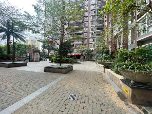 深圳龙华观澜尚品雅居澳门小区旁一房一厅,精装修,全齐,采光好出租