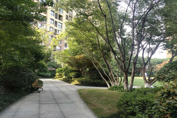龙湖九里香醍