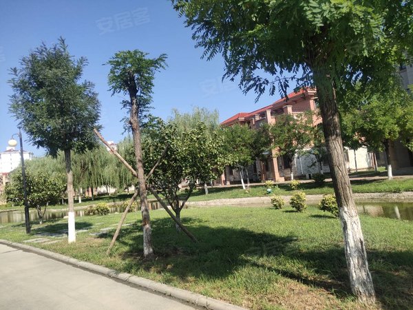 天津宝坻周良街泰富橄榄树橄榄树一居室,民水民电,拎包入住,紧邻大