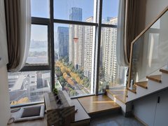 合肥政务奥体中心本人实拍 天鹅湖旁 复式装修新 新地中心 万象城 银泰城出租房源真实图片