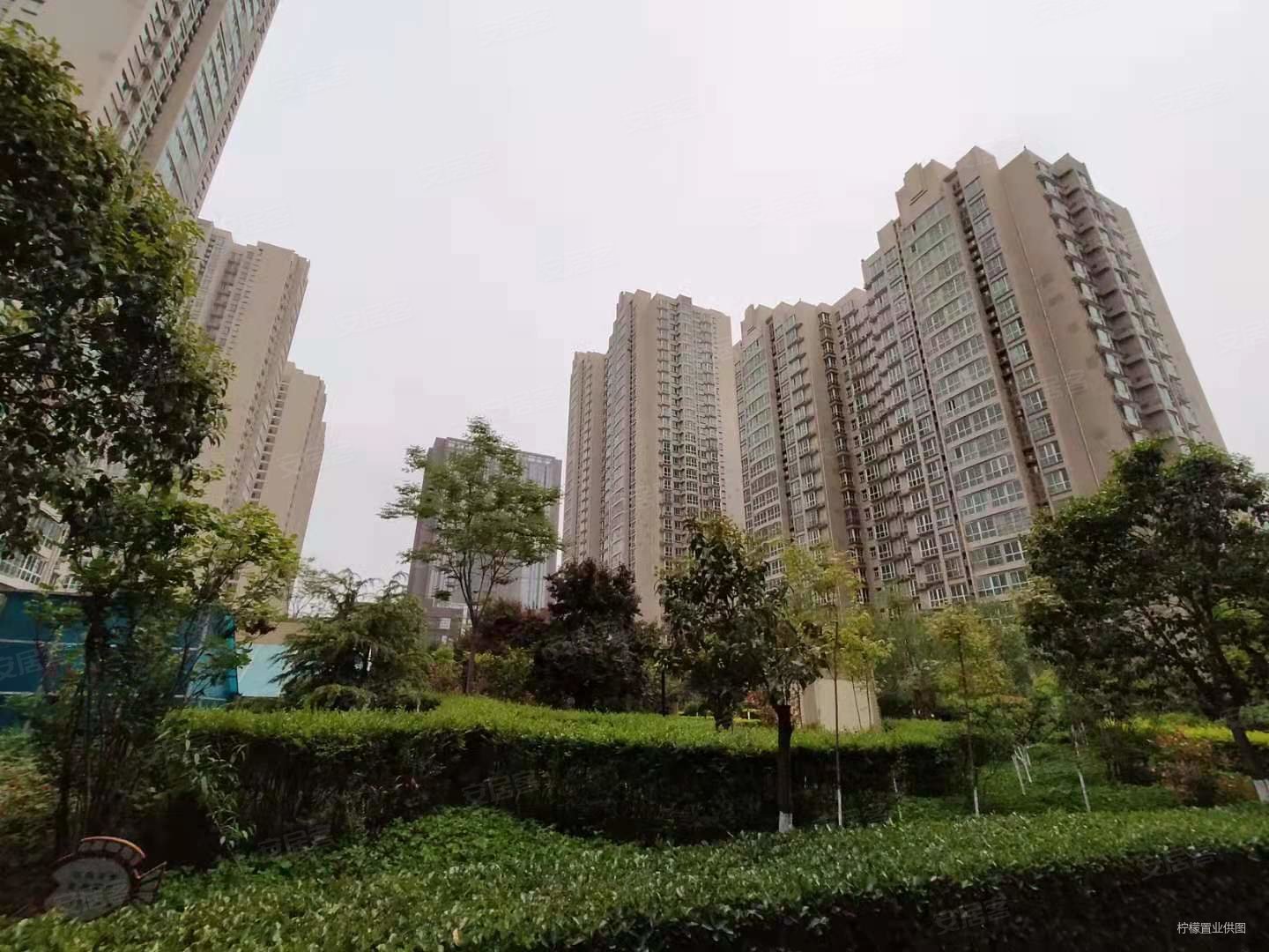 店长力荐凤城六路地铁口旭景兴园精装三室两卫钥匙在手随时看