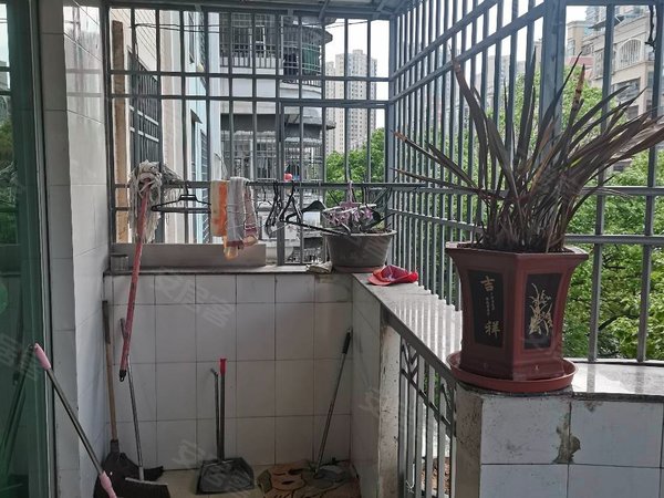 【多图】东南花园南苑,螺城镇租房,本套房地段好近一中门口环境好