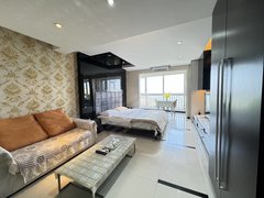 秦皇岛开发区森林逸城森林逸城B区一室  日租  月租  季度租  灵活出租出租房源真实图片