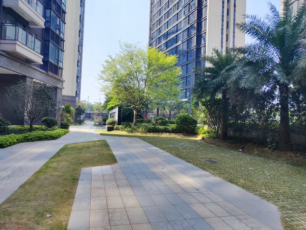 东莞寮步汽车东站皇庭峰景壹号(商住楼)全新装修 大三房 未入住 朝南