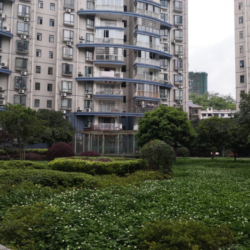 湘泉城市花园图片