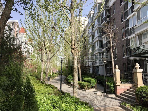 【多图】晶城秀府,成寿寺租房,业主直签,看房有钥匙随时起租精装保养