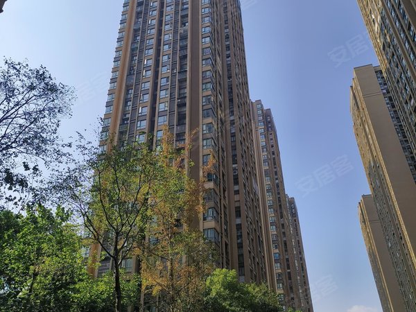 重庆涪陵涪陵宝龙广场绿地海域澜屿绿地澜屿精装3室2厅电梯房租金1500