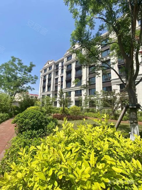 北戴河高铁站,现房精装修6层洋房,通透2居被动式住宅,金龙和玺二手房