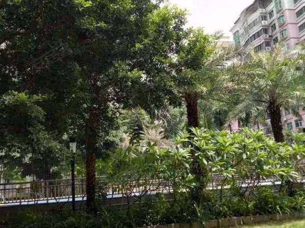 【多图】海滨城广场,翻身路租房,海滨城广场,干净舒适3房 随时看房