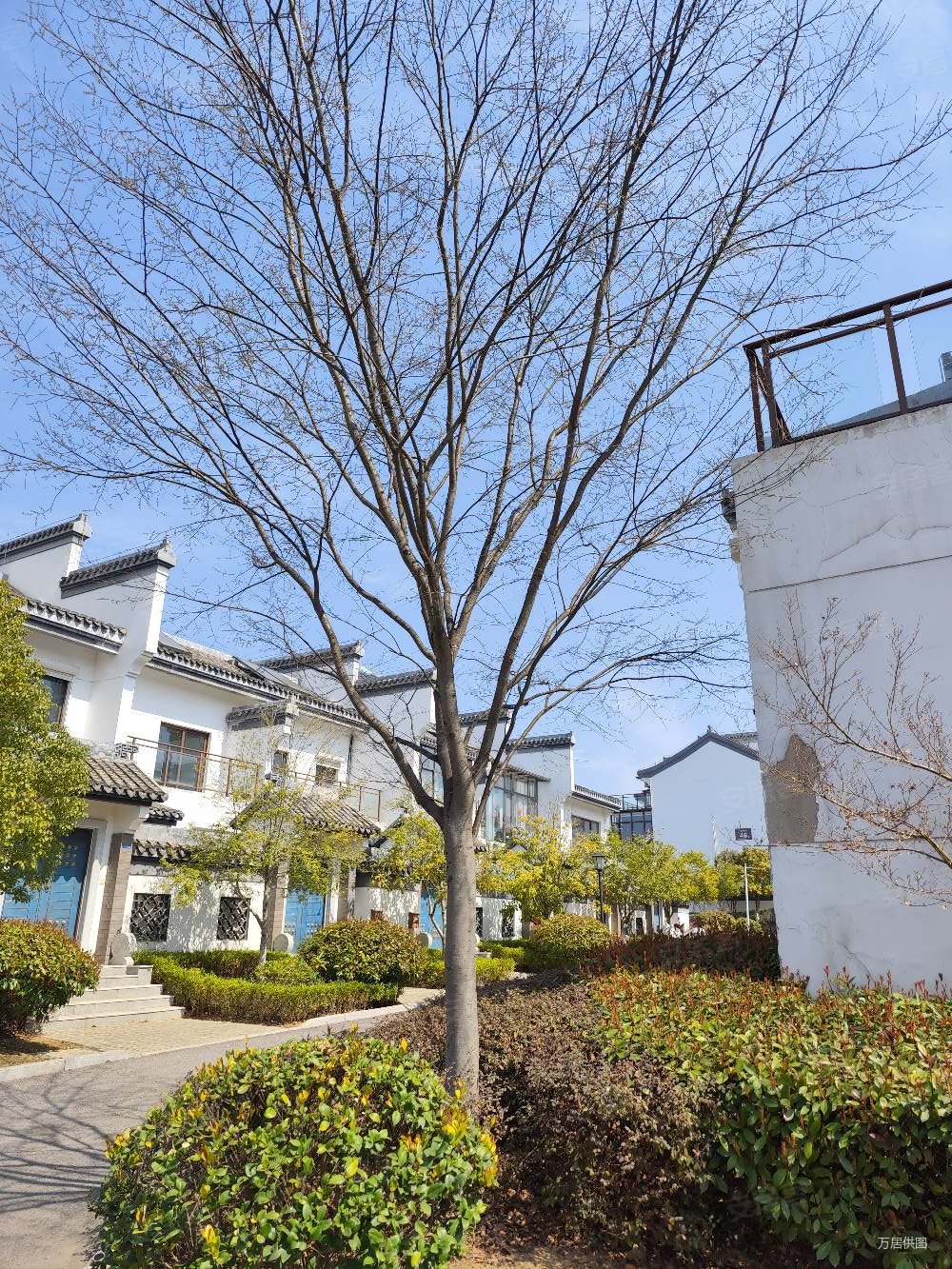 南京后花园汤山鎏园双拼别墅带车位寻找有缘人,汤山鎏园(别墅)二手房