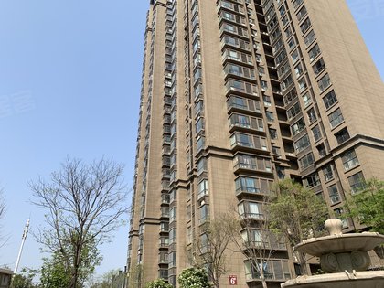 常绿林溪谷