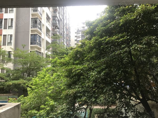 【多图】方圆大学时光,大学城租房,大学城少有低密度小区两房,望花园