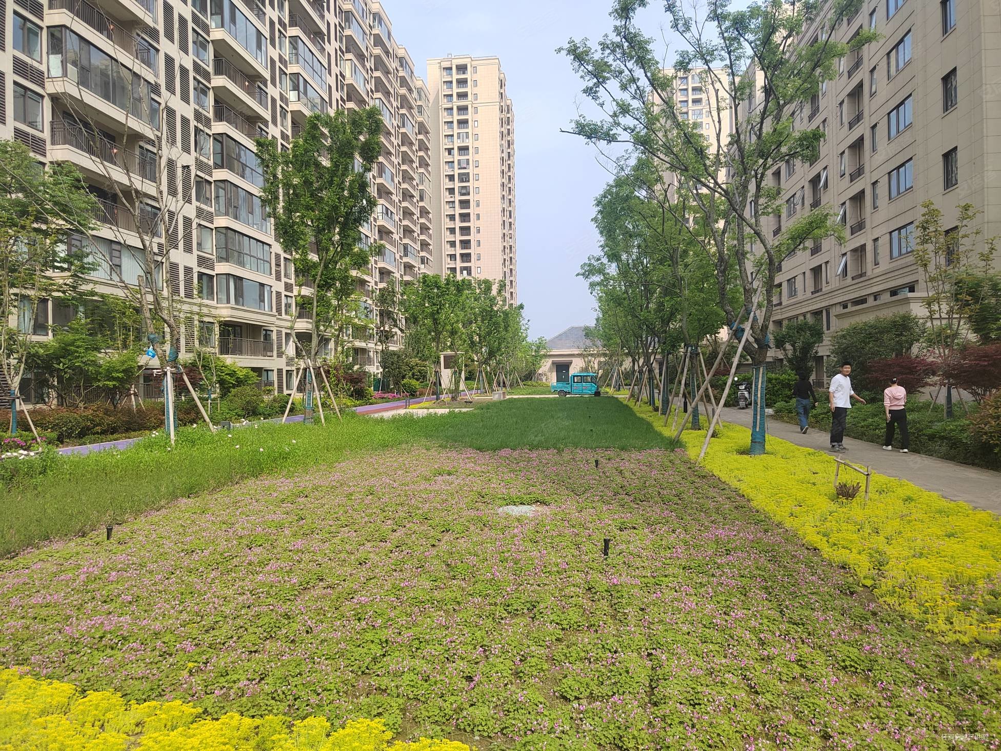 急!售63万 绿地四季印象 商品房 楼层好南北通透 次新小区