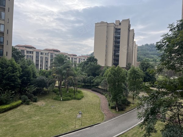 重庆江津滨江新城金瓯滨江国际儿豁你1600就可以租新城精装三房,领包