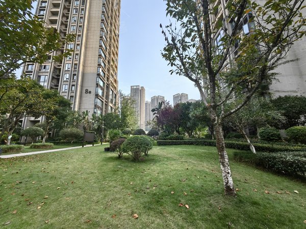 重庆渝北照母山万科城(一期)配套齐全 电梯房 精装修出租房源真实图片