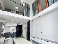 房东直签超豪华装修loft3室品质公寓民用
水电晓东村地铁口
