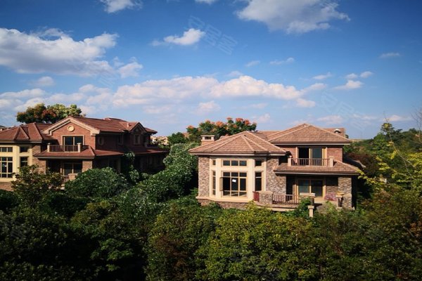 孙尹解读保利阆峰云墅  特色 【小区户型】整个小区全部为独栋别墅区