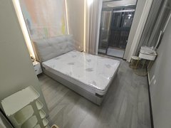 合肥蜀山黄潜望实价实图 低价急租 采光刺眼 和谐花园 阳光充足 电梯房出租房源真实图片