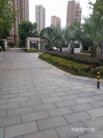 九龙仓繁华里 楼层好 采光足 性价比高 位置超好 南北通透