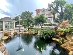 江门蓬江蓬江周边6房别墅出租 家私齐全 大气鱼池花园 南北对流出租房源真实图片
