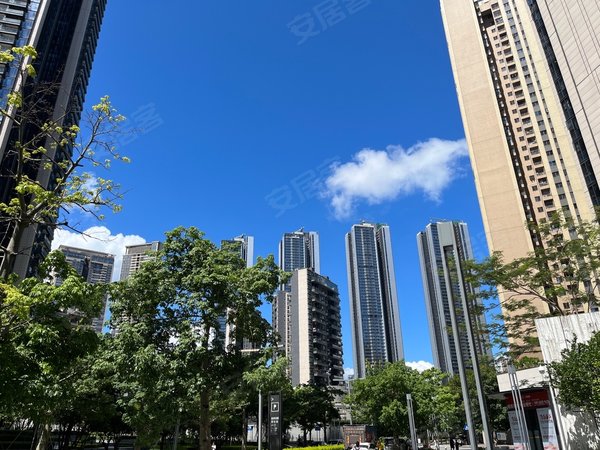 深圳南山大冲华润城润玺(一期)润玺一期实拍 精装三房 降价急租出租