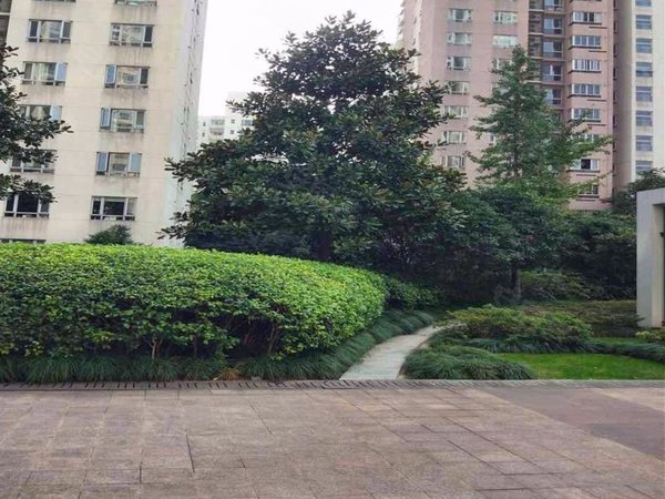 【多图】汇豪天下,陆家嘴租房,新上好房,精装2房,家电齐全,随时看房