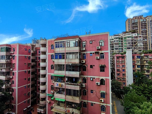 广州天河员村金兴花园真图 电梯三房 天河公园地铁 优雅安静 绿园小区