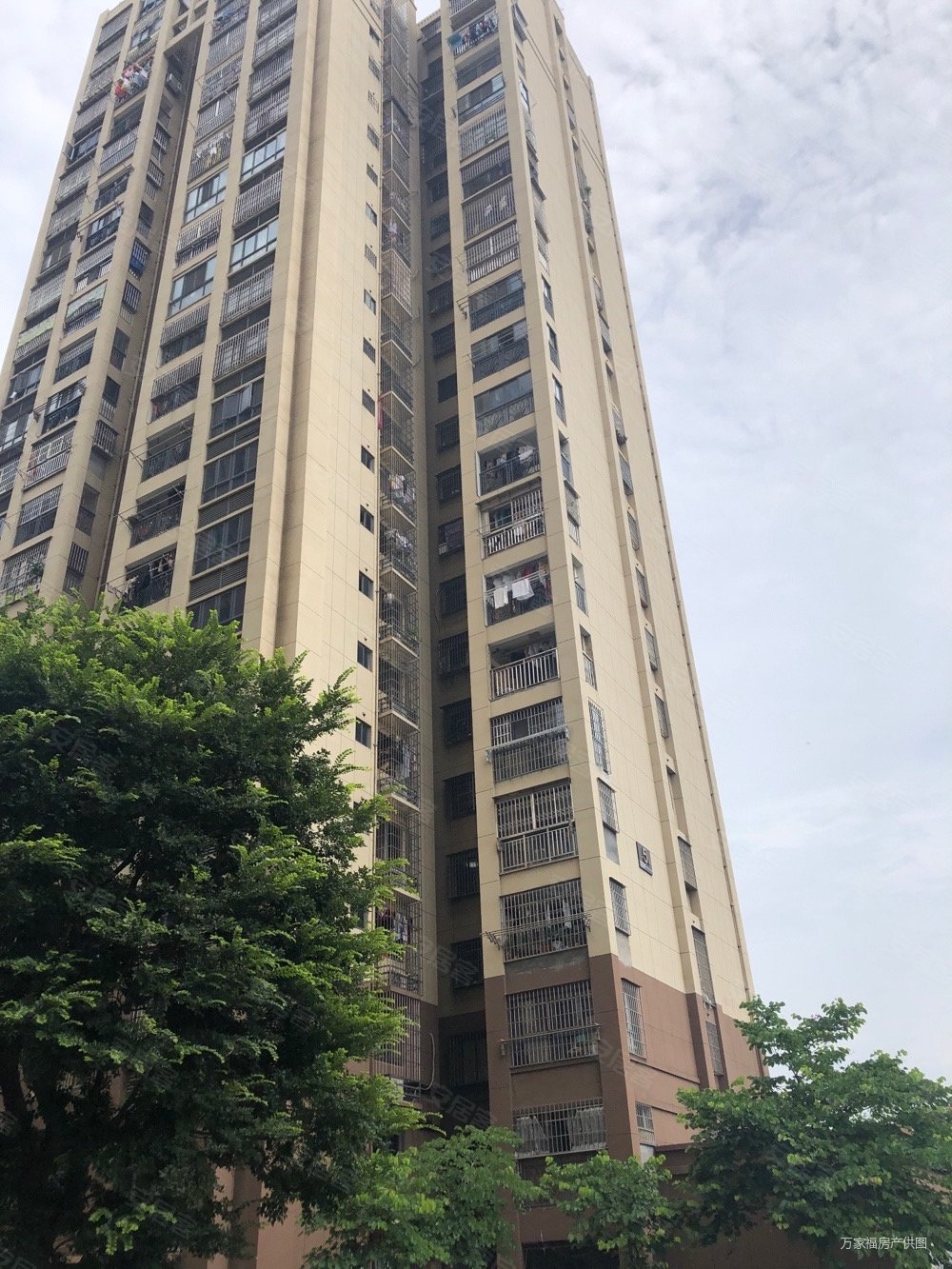 园山新苑1室1厅1卫46南105万