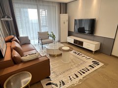 阳江江城新达城北湖公园旁 新达城一房一厅出租豪华装修周边配套齐全拎包入住出租房源真实图片