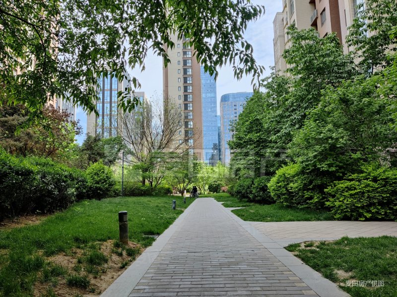 林肯公园C区2室1厅1卫92.31㎡南北485万