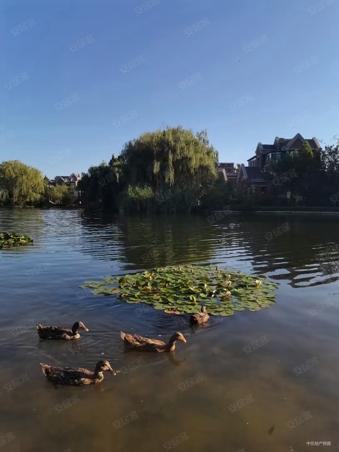 重汽莱蒙湖经十东路3室2厅2卫170平方米