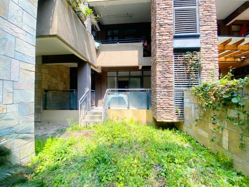 朝南花园洋房花园种了折耳根龙城1号单价14