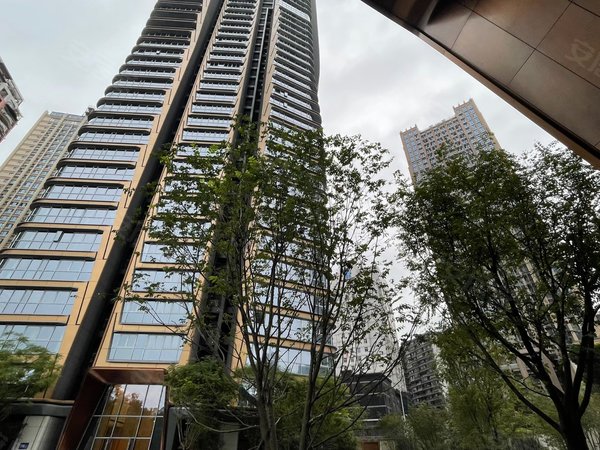 重庆渝中解放碑国浩18t解放碑cbd!国浩18t!豪宅标杆!