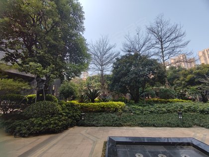 红星国际广场晶品,闽江大道266号 - 福州红星国际广场晶品二手房,租房