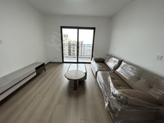 孝感孝南南大首横城 仙女湖学校旁桃源 万锦城 鼎观世界 凤凰天仙城豪装出租房源真实图片