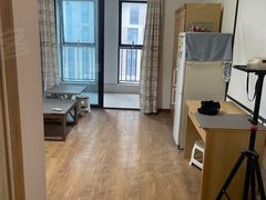 蚌埠龙子湖大学城高铁站旁小型公寓1000一个月，民用水电，设施齐全出租房源真实图片