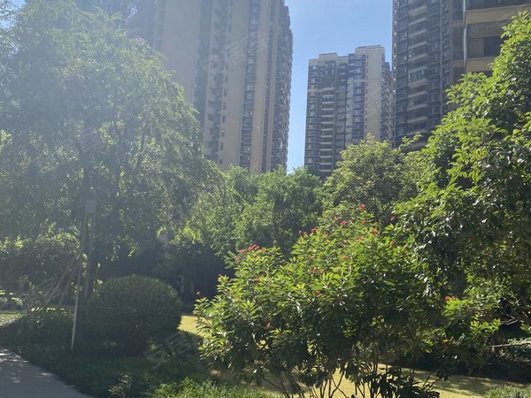 澜月府 4室2厅2卫 精装修 电梯房 116平 可配齐,西乡塘租房-南宁58