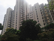 新湖明珠城