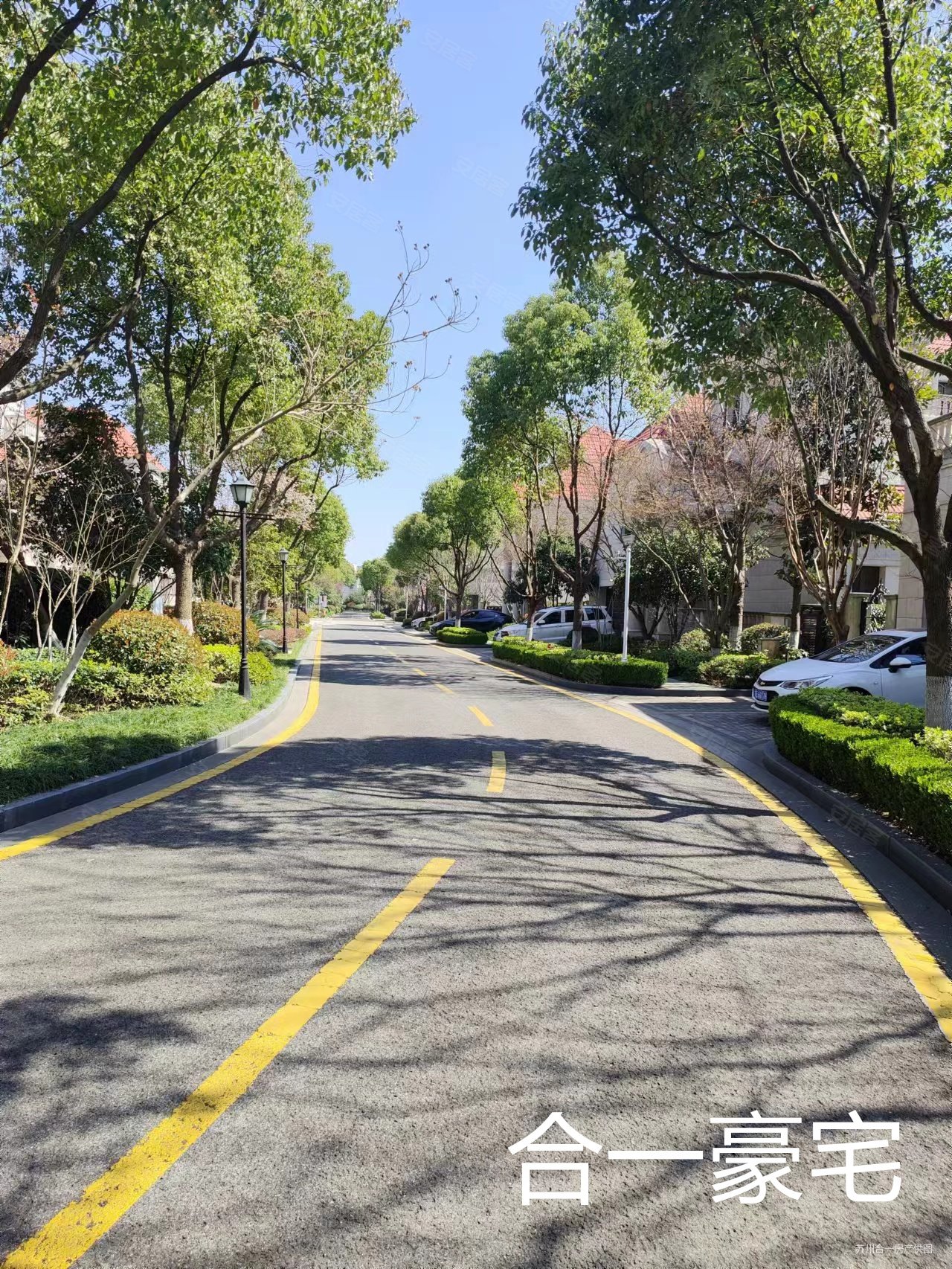 苏州房产网>苏州二手房>工业园二手房>双湖二手房>金鸡湖花园>1280