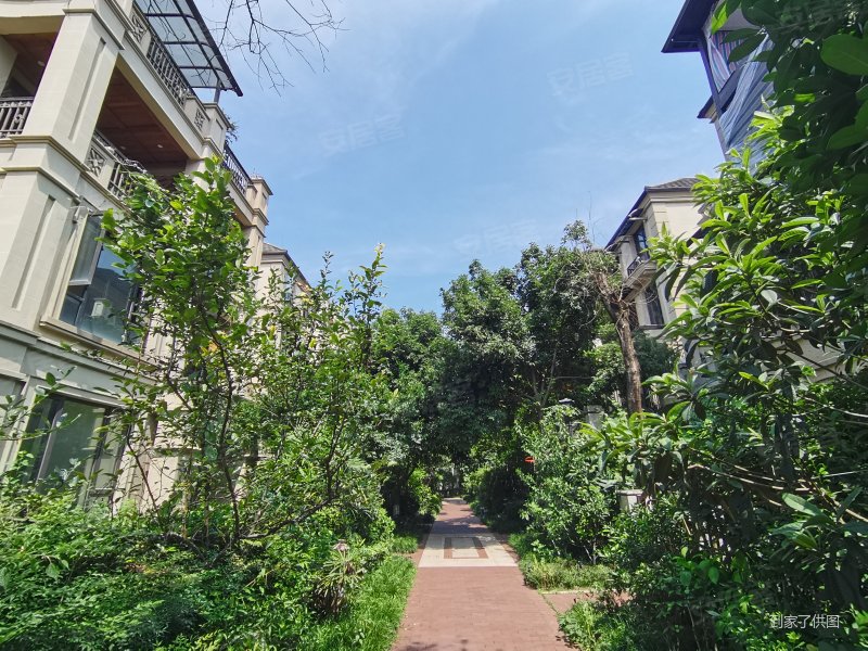 复地花屿城(c区)4室2厅2卫142㎡南北258万